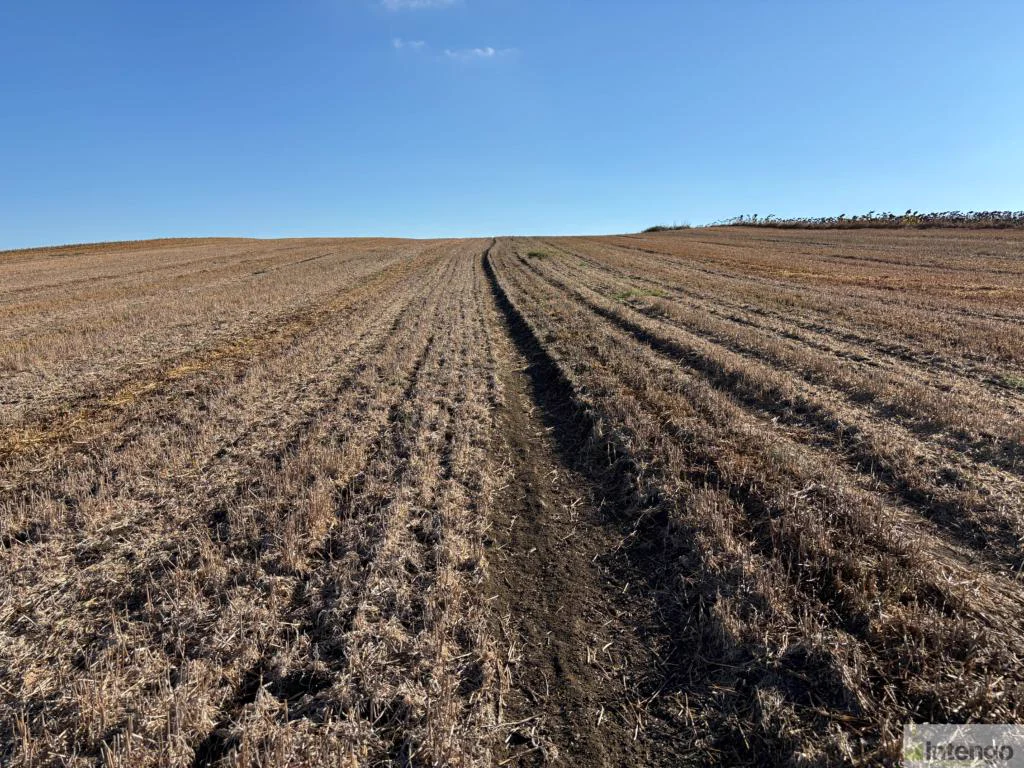 The Silivri Gazitepe field under a clear sky, from the seller’s listing